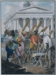 Schwarze Säger vor der Bank von Pennsylvania, Philadelphia