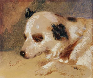 Hundekopf