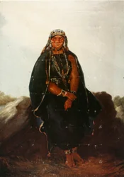 La araucana