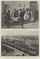 Die Cholera in Hamburg