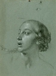 Kopfstudie (Arindal und Daura)