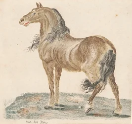 Das wiehernde Pferd, 1690er Jahre