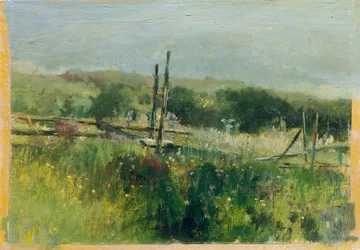 Wiese mit Zaun