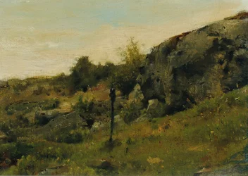 Wiesenlandschaft mit Felsen
