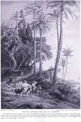 Abraham betritt das Land Palästina 2250 v. Chr.