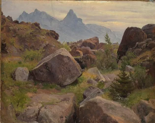 Felsstudie bei Goldau