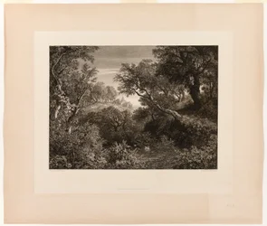 Die große deutsche Landschaft