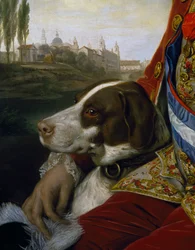 Hund, Detail aus einem Porträt von Ferdinand von Bourbon, Herzog von Parma