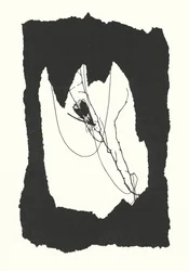 Johanna Beckmann Silhouette