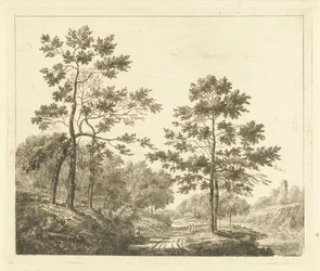 Waldweg in hügeliger Landschaft