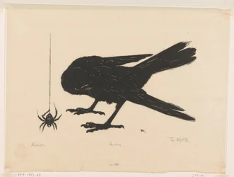 Krähe