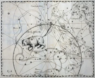 Kleiner Bär, boreale Konstellation des Kleinen Bären, Gravur aus dem Himmelsatlas Firmamentum Sobiescianum sive Uronographia