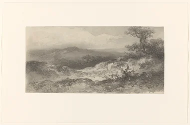 Dünenlandschaft