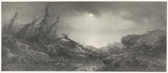 Nach dem Sturm