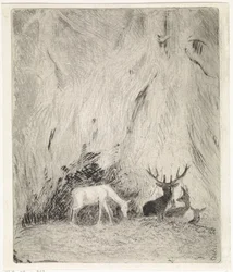 Hirsche in einem böhmischen Wald