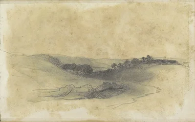 Hügellandschaft mit Bäumen