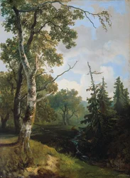 Waldansicht bei Wolfheze