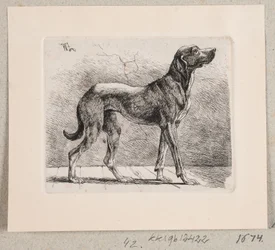 Ein stehender Hund