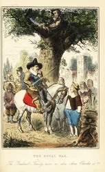 König Karl II. versteckt sich nach der Schlacht von Worcester in einer Eiche im Boscobel-Wald