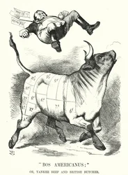 Punch-Karikatur: Bos Americanus; oder, Yankee Beef und britischer Metzger - erwartete Vorteile für Verbraucher durch den Import von amerikanischem Fleisch (Stich)