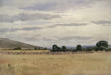 Landschaft mit Kornfeld