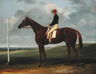 Kastanienbraunes Fohlen mit Jockey und Startpfosten