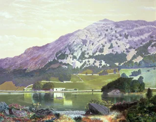 Nab Scar von der Südseite des Rydal Water - Heide in Blüte, September 1864