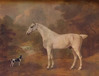 Ein flohgebissener Grauer und ein gefleckter Terrier, 1803