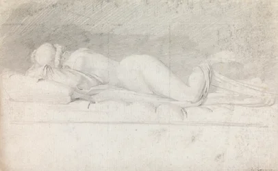 Studie des Hermaphroditen