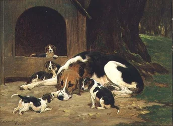 Eine Foxhound-Hündin mit ihrem Wurf
