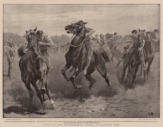 Ein Tauziehen zu Pferd, Sport im Maitland Camp