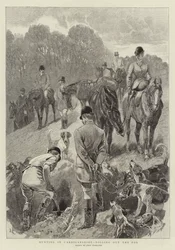 Jagd in Cardiganshire, den Fuchs ausgraben