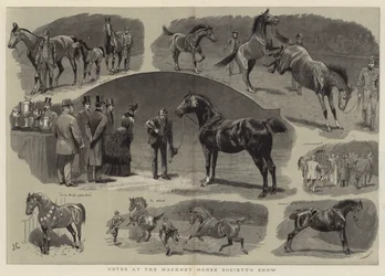 Notizen bei der Hackney Horse Society Show