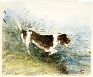 Ein Hund beobachtet eine Ratte im Wasser - Dedham, gemalt 1831