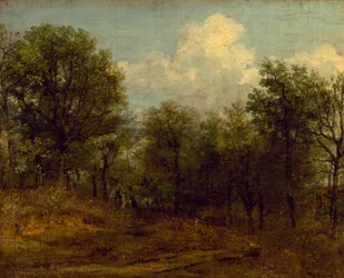 Ein Wald