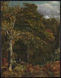 Waldrand