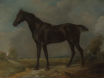 Golding Constables Schwarzes Reitpferd