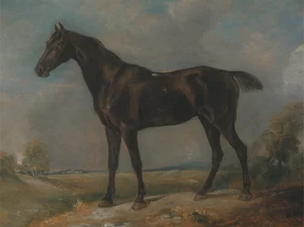Golding Constables schwarzes Reitpferd