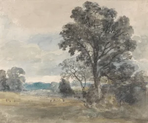 Landschaft bei East Bergholt