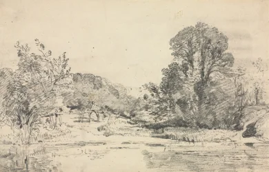 Landschaft mit Bäumen um einen Teich