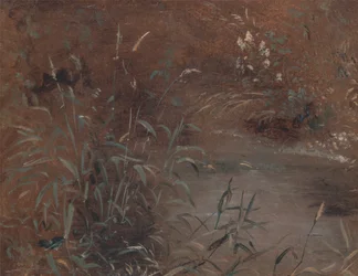 Schilf an einem Teich, ca. 1821