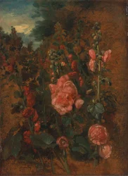 Studie von Stockrosen