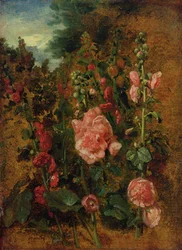 Studie von Stockrosen, um 1826