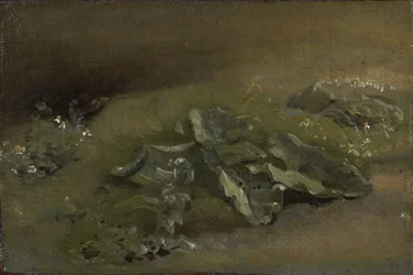 Studie einer Klette, ca. 1810-14 oder ca. 1828