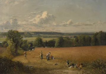 Das Weizenfeld
