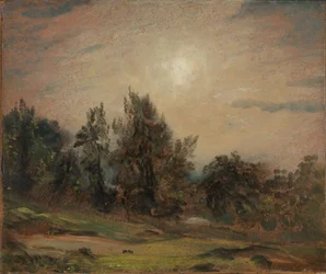 Bäume auf der Hampstead Heath