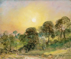 Bäume auf der Hampstead Heath bei Sonnenuntergang