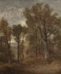 Waldszene mit Blick auf Dedham Vale