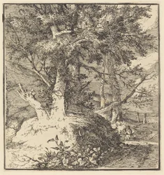 Baum auf einem Hügel