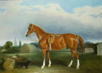 Ein Kastanienjäger und ein Spaniel bei Bauerngebäuden